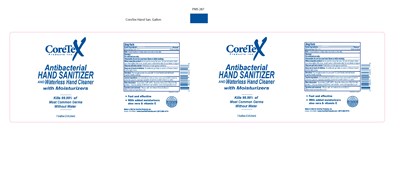201-10 (Hand Sanitizer Gallon3800ml 0923)